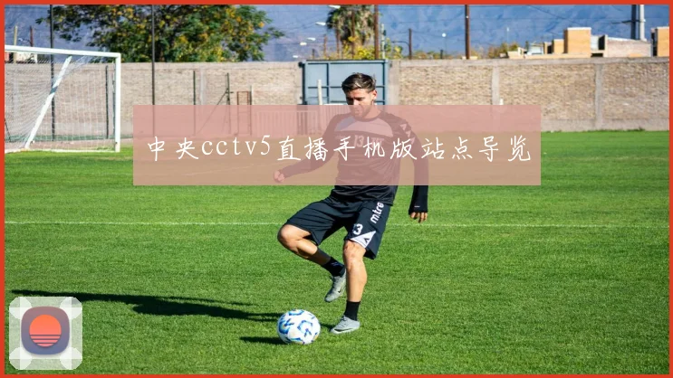 中央cctv5直播手机版站点导览