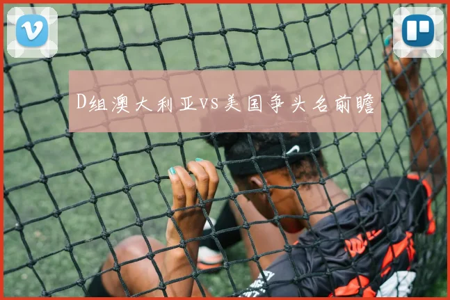 D组澳大利亚vs美国争头名前瞻