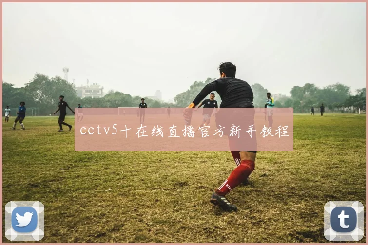 cctv5十在线直播官方新手教程