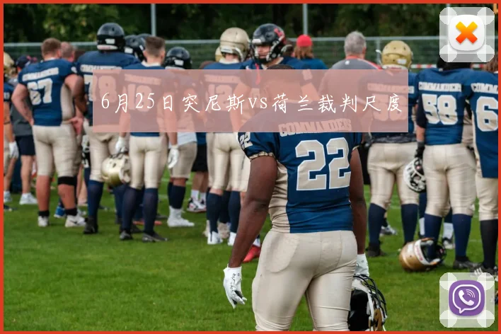 6月25日突尼斯vs荷兰裁判尺度